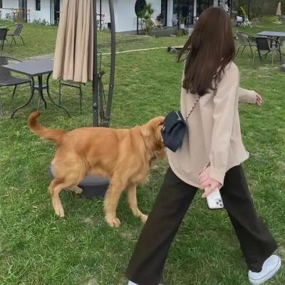 小蜜蜂 勇气的旋律
